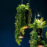 Maison Giannino Отель типа 