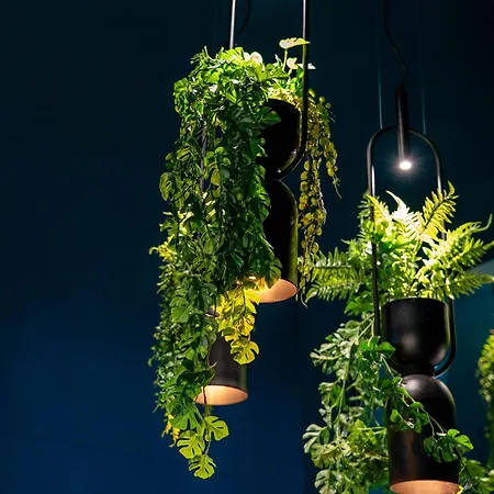 Maison Giannino Готель типу 