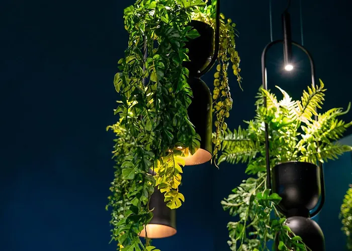 Maison Giannino Bed and breakfast 4*